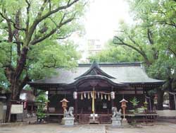 ���� �ʏo ���� ��� �V�_�̐X�V���{