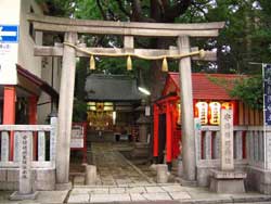 ���� ���� �V������ ���� �w ������