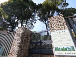 ���� ���� �V������ ���� �w ���X�X