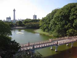 ���� ���� �V������ ���� �w �V��������