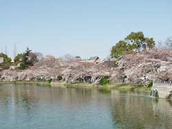 ���� ���� �V������ ���� �w �e�j�X�R�[�g