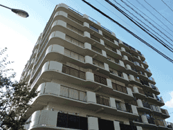 �L��������̕����݂��ݼ�ݍ��{�X�J�C�n�C�c