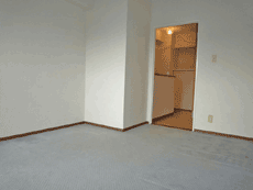 �y�b�g�̃��]�l�b�g�����I���t�B�[�k��ˎR