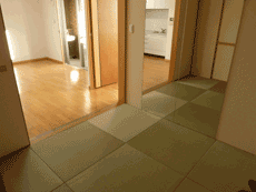 ���t�H�[���ς݁I�������ꂢ�����镪���݂��}���V�����V�����}���t�W�r���g���A�V�_�m�X