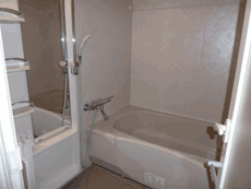 ���t�H�[���ς݁I�������ꂢ�����镪���݂��}���V�����V�����}���t�W�r���g���A�V�_�m�X