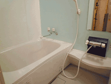 ���t�H�[���ς݂̕����݃}���V�����I�R�X���n�C�c�ʏo