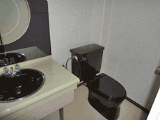 �L���I�Ђ낢�I�q���C�I�������[�������܂��Ɋ����@�t��