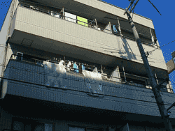 7���̘a���Ǝ��[�����Ղ�I