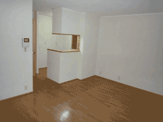 �v�����h�[���|�N��