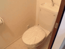 �}�T�R�[�g�n�i