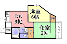 ���t���}���V����