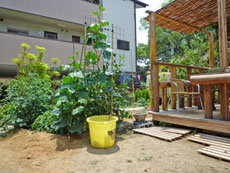 ���t���}���V����