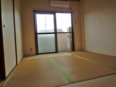 ���t���}���V����