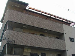 ���t���}���V����