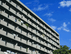 �p�e�B�I�k���ꉮ