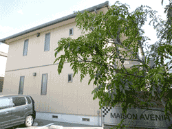 ���]���A�u�j�[��