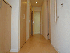 �O�����V���g�[�k���ꉮ