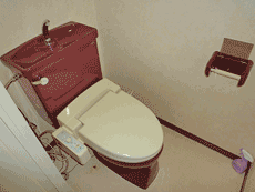 �G�N�Z���R�[�g�Z�V�]����