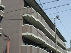 ���]�����i