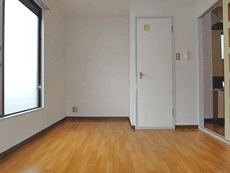 �T�N�Z�X����