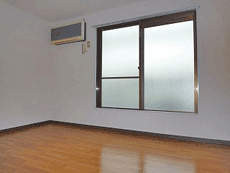 �T�N�Z�X����