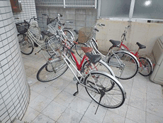 �T�N�Z�X����