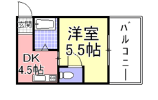 �T�N�Z�X����