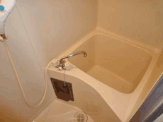 �p�[�N�V�e�B�[�}���V����