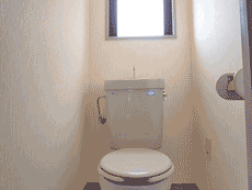 �G�N�Z�����V