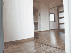 �G�N�Z�����V