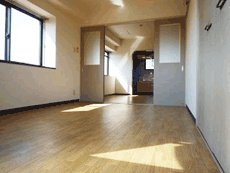 �ې�p�[�N�V�e�B�n�C�c