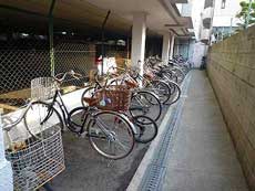 �O�����\�V�G�ʏo�V