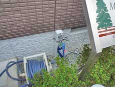 Mulberry�i�}���x���[�j