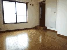 ���l�K�[�f���n�E�X