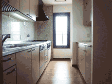 ���l�K�[�f���n�E�X