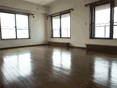 ���l�K�[�f���n�E�X