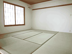 ���l�K�[�f���n�E�X