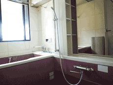 ���l�K�[�f���n�E�X