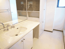 ���l�K�[�f���n�E�X