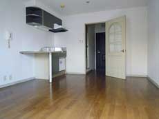 �V���g���[�k�k��