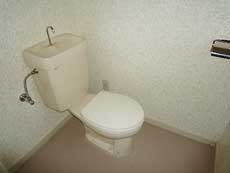 �V���g���[�k�k��