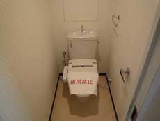 �p�e�B�I�k���ꉮ