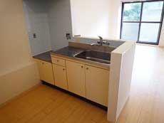 �p�e�B�I�k���ꉮ