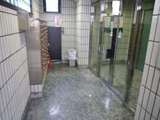 �G���Y�ݗ�