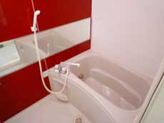 �}�T�R�[�g�n�i