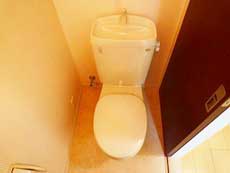 �}�T�R�[�g�n�i