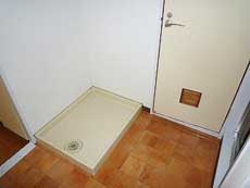 �W���l�X�^����