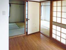 �C���u���n�C�c