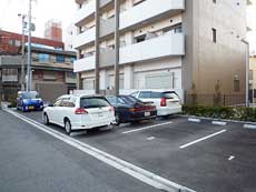 �\���A�[�h�R�[�gA�^�C�v