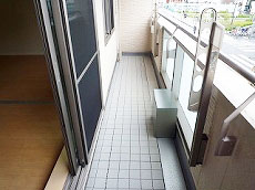 �V���[���]���h�D�[�f�B�A�X